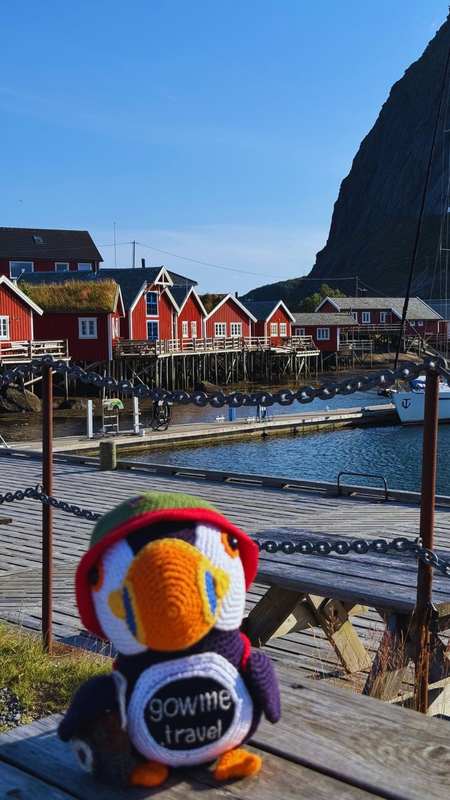 Reine Guest Harbor, Northern Norway — Marina in the picturesque fishing village of Reine, Lofoten.